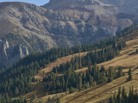 Mountain landscape in the Tibetan highlands with rolling slopes and evergreen forest