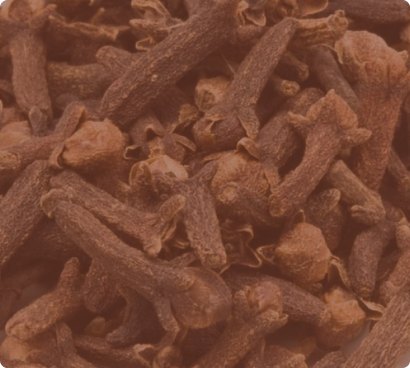 Clove