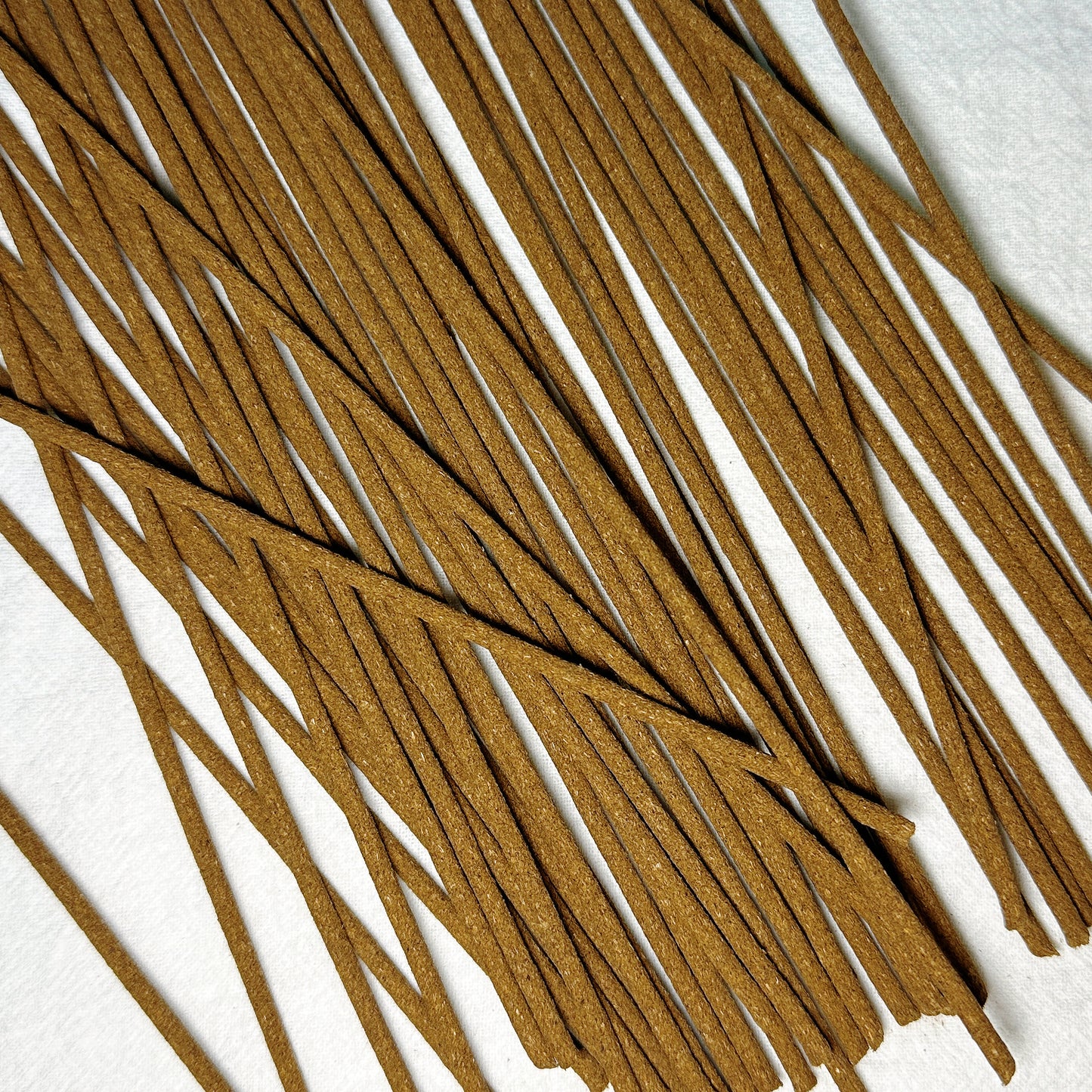 The First Sambuchu for Harmonizing & Clarifying