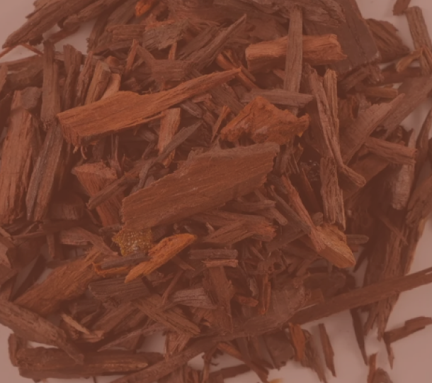 Red Sandalwood